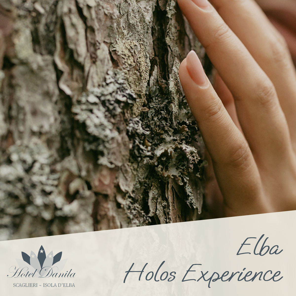 Elba Holos Experience