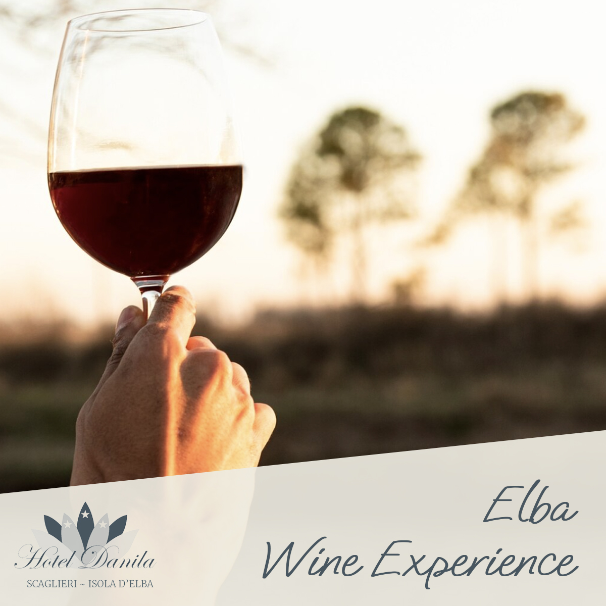 Elba Wine Experience